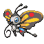 Beautifly