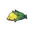 Corm