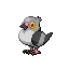 Pidove