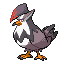 Staraptor