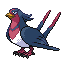 Swellow