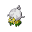 Tarountula