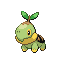 Turtwig