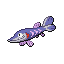 Arrokuda shiny