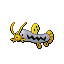 Barboach shiny