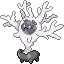 Cursola shiny