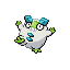 Darumaka shiny