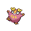Darumaka shiny