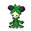 Dolliv shiny