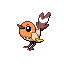 Fletchling shiny
