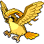 Pidgeot shiny
