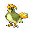 Pidgeotto shiny