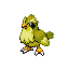 Pidgey shiny