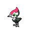 Pikipek shiny