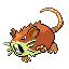 Raticate shiny