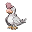 Squawkabilly shiny