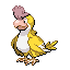Squawkabilly shiny