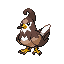 Staravia shiny