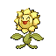 Sunflora shiny