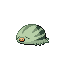 Swinub shiny