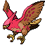 Talonflame shiny