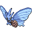 Venomoth shiny