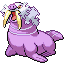 Walrein shiny